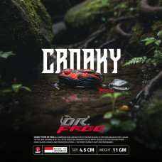 Real warrior DR. FROG